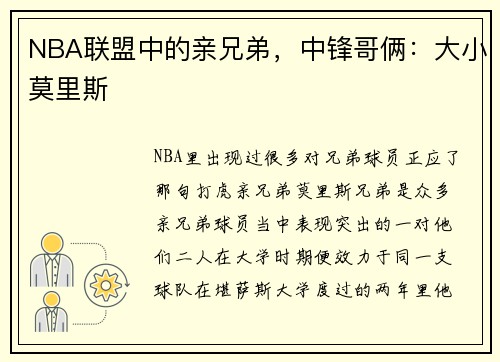 NBA联盟中的亲兄弟，中锋哥俩：大小莫里斯